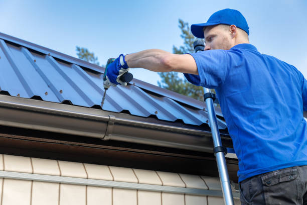 Best Roof Moss and Algae Removal  in Meadowbrook, CA